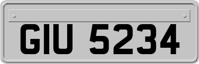 GIU5234