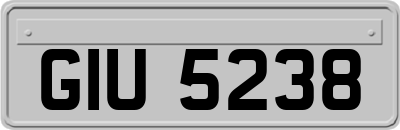 GIU5238