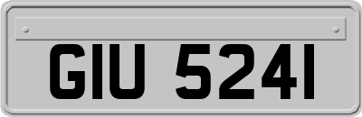 GIU5241