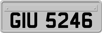 GIU5246