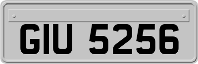 GIU5256