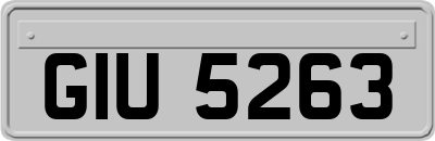 GIU5263