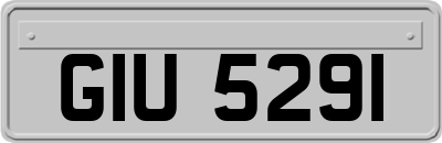 GIU5291