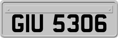 GIU5306