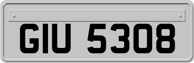 GIU5308