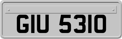 GIU5310