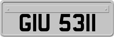 GIU5311