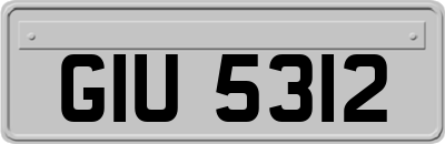 GIU5312