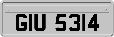 GIU5314
