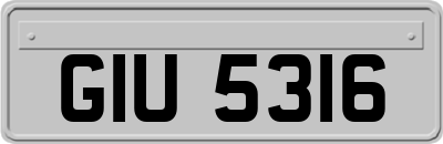 GIU5316