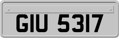 GIU5317