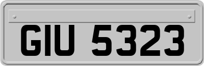 GIU5323