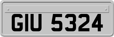 GIU5324