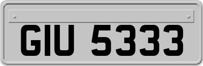 GIU5333