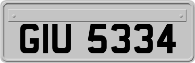 GIU5334