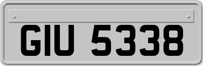 GIU5338