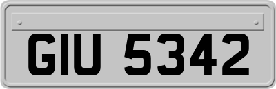 GIU5342