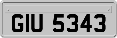 GIU5343