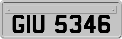 GIU5346