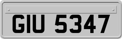 GIU5347