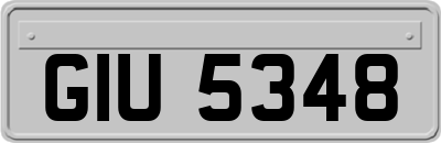 GIU5348