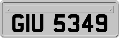 GIU5349