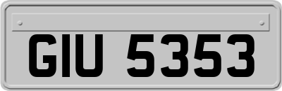 GIU5353