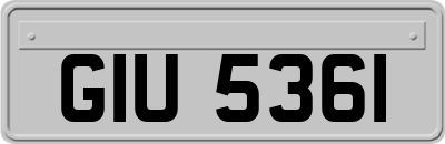 GIU5361