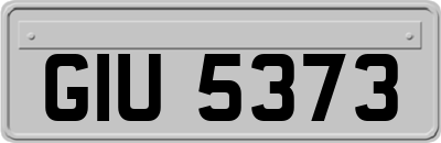 GIU5373