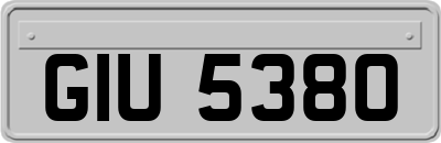 GIU5380