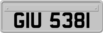 GIU5381