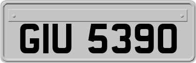 GIU5390