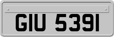 GIU5391