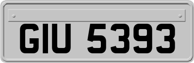 GIU5393