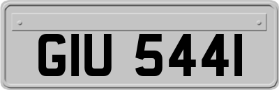 GIU5441