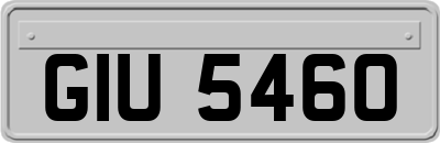 GIU5460