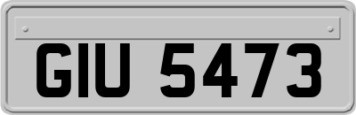GIU5473
