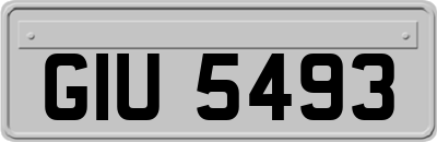 GIU5493
