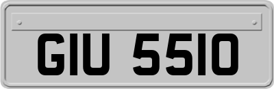 GIU5510