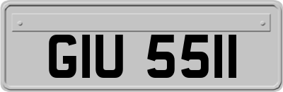 GIU5511