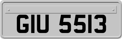 GIU5513