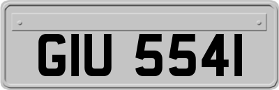 GIU5541