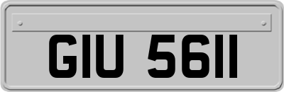 GIU5611