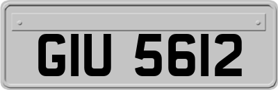 GIU5612