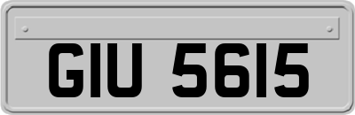 GIU5615