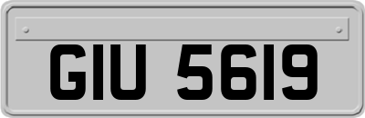 GIU5619