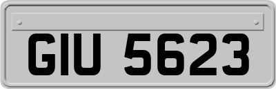 GIU5623