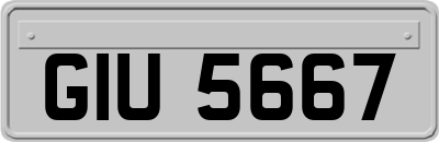GIU5667