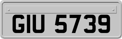 GIU5739