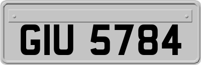 GIU5784